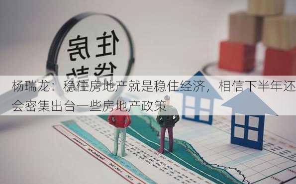 杨瑞龙：稳住房地产就是稳住经济，相信下半年还会密集出台一些房地产政策