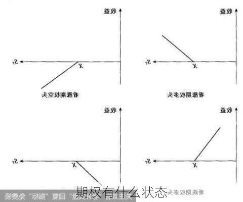 期权有什么状态