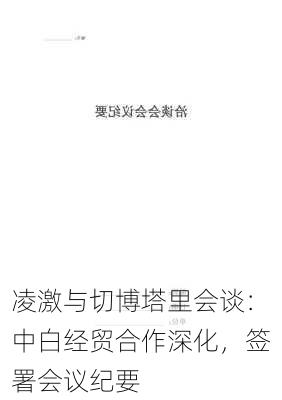 凌激与切博塔里会谈：中白经贸合作深化，签署会议纪要