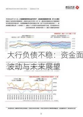 大行负债不稳：资金面波动与未来展望