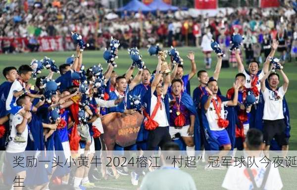 奖励一头小黄牛 2024榕江“村超”冠军球队今夜诞生