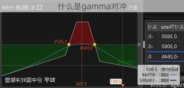 什么是gamma对冲