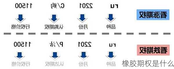 橡胶期权是什么