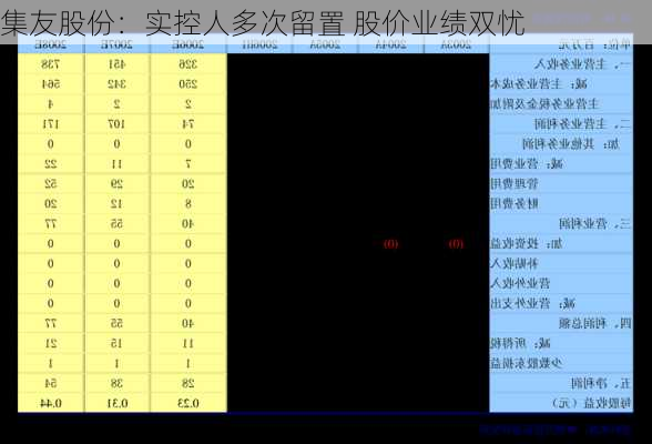 集友股份：实控人多次留置 股价业绩双忧