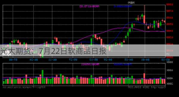 光大期货：7月22日软商品日报