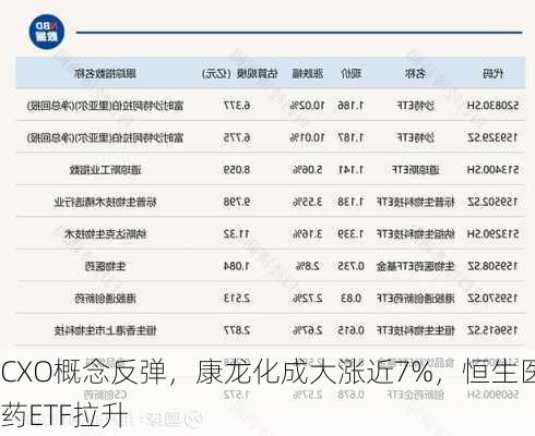 CXO概念反弹，康龙化成大涨近7%，恒生医药ETF拉升