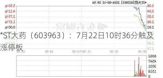 *ST大药（603963）：7月22日10时36分触及涨停板