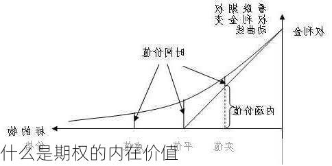 什么是期权的内在价值