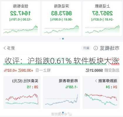 收评：沪指跌0.61% 软件板块大涨