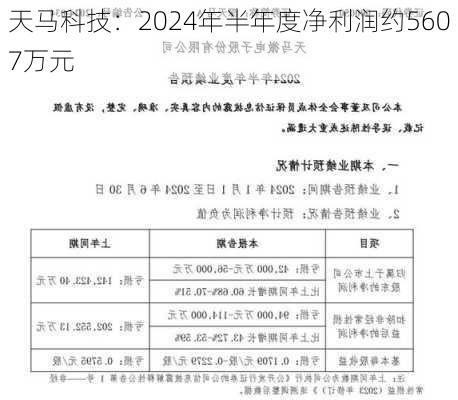 天马科技：2024年半年度净利润约5607万元