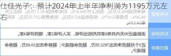 仕佳光子：预计2024年上半年净利润为1195万元左右