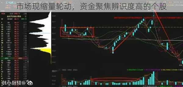 市场现缩量轮动，资金聚焦辨识度高的个股