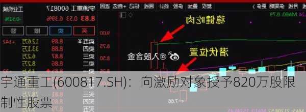 宇通重工(600817.SH)：向激励对象授予820万股限制性股票