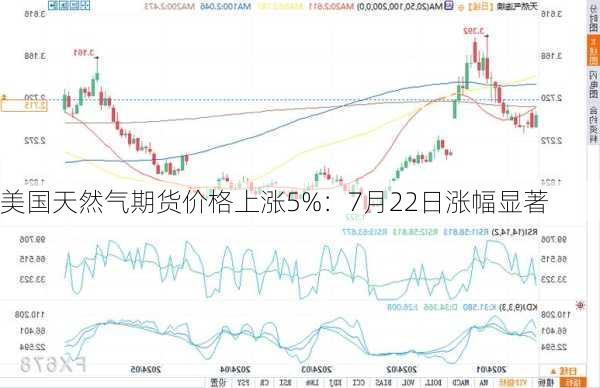 美国天然气期货价格上涨5%：7月22日涨幅显著