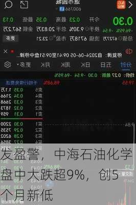 发盈警，中海石油化学盘中大跌超9%，创5个月新低