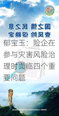 郁宝玉：险企在参与灾害风险治理时面临四个重要问题