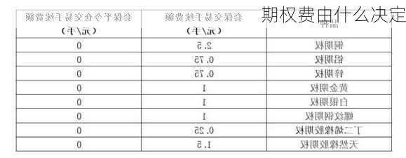 期权费由什么决定