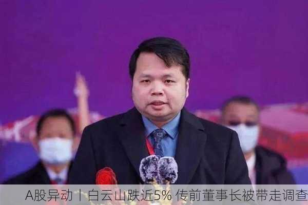 A股异动丨白云山跌近5% 传前董事长被带走调查