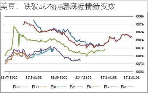 美豆：跌破成本，磨底行情待变数