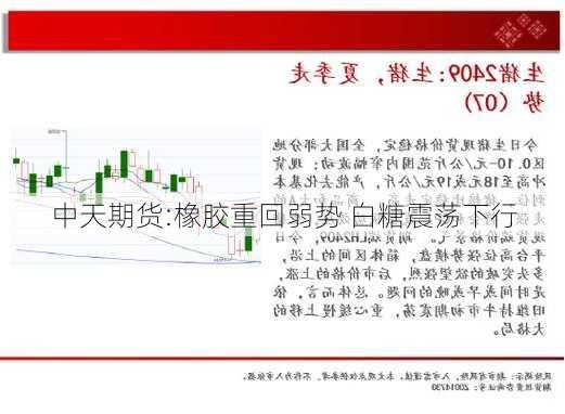 中天期货:橡胶重回弱势 白糖震荡下行