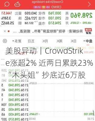 美股异动｜CrowdStrike涨超2% 近两日累跌23% “木头姐”抄底近6万股