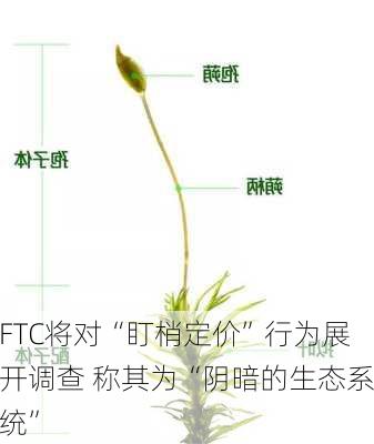 FTC将对“盯梢定价”行为展开调查 称其为“阴暗的生态系统”