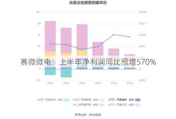 赛微微电：上半年净利润同比预增570%