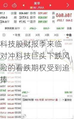 科技股财报季来临 对冲科技巨头下跌风险的看跌期权受到追捧