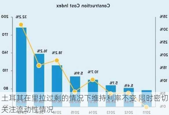 土耳其在里拉过剩的情况下维持利率不变 同时密切关注流动性情况