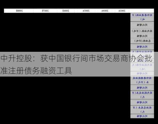 中升控股：获中国银行间市场交易商协会批准注册债务融资工具