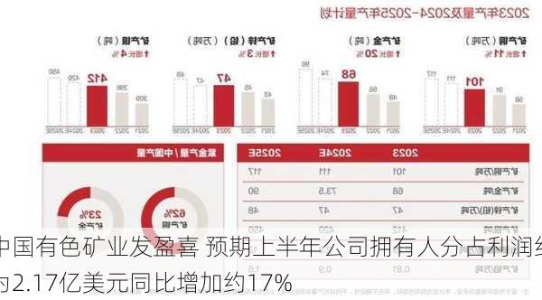 中国有色矿业发盈喜 预期上半年公司拥有人分占利润约为2.17亿美元同比增加约17%