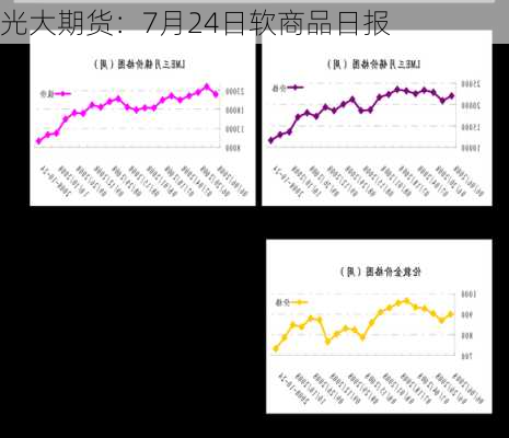 光大期货：7月24日软商品日报