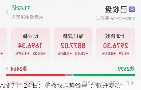 A股 7 月 24 日：多板块走势各异  ：低开波动