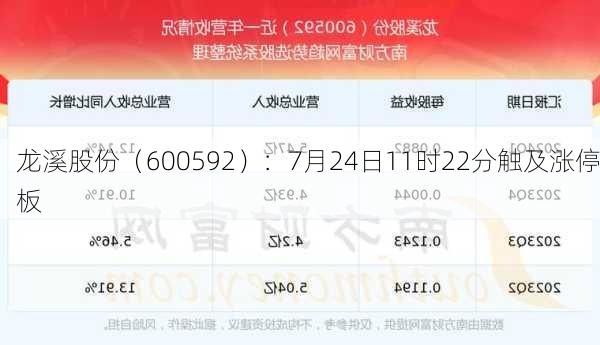 龙溪股份（600592）：7月24日11时22分触及涨停板