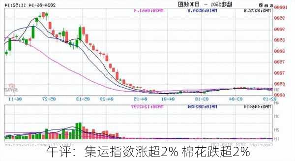 午评：集运指数涨超2% 棉花跌超2%