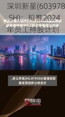 深圳新星(603978.SH)：拟推2024年员工持股计划