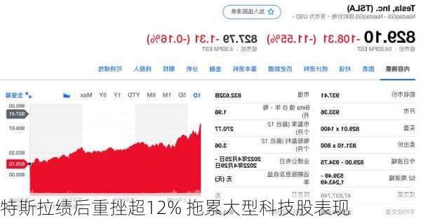 特斯拉绩后重挫超12% 拖累大型科技股表现