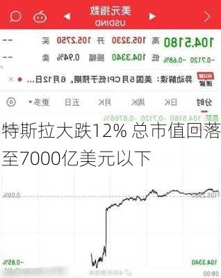 特斯拉大跌12% 总市值回落至7000亿美元以下