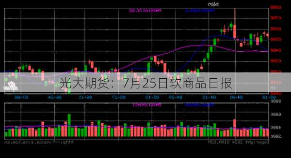 光大期货：7月25日软商品日报