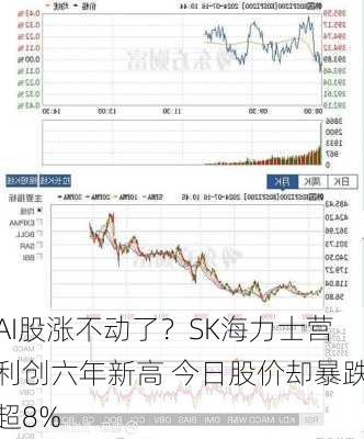 AI股涨不动了？SK海力士营利创六年新高 今日股价却暴跌超8%