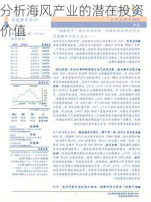 分析海风产业的潜在投资价值