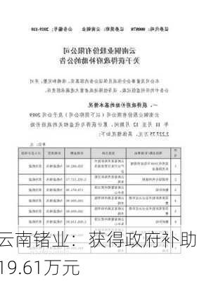 云南锗业：获得政府补助119.61万元