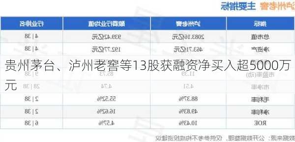 贵州茅台、泸州老窖等13股获融资净买入超5000万元