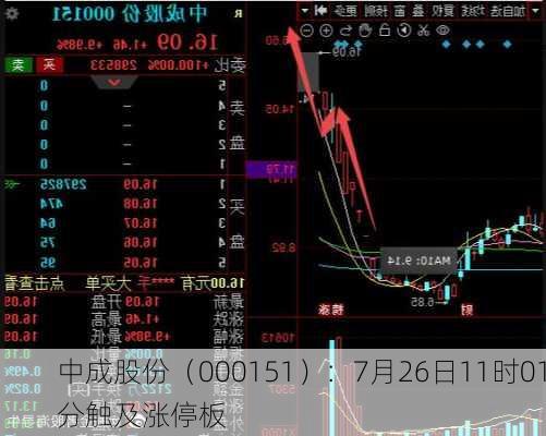 中成股份（000151）：7月26日11时01分触及涨停板