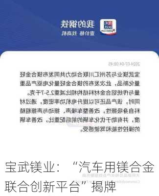 宝武镁业：“汽车用镁合金联合创新平台”揭牌