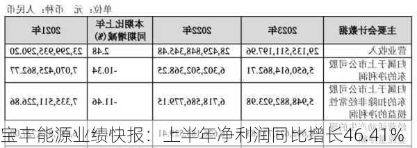 宝丰能源业绩快报：上半年净利润同比增长46.41%