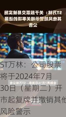 ST万林：公司股票将于2024年7月30日（星期二）开市起复牌并撤销其他风险警示