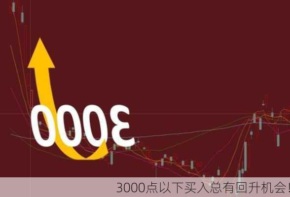 3000点以下买入总有回升机会！