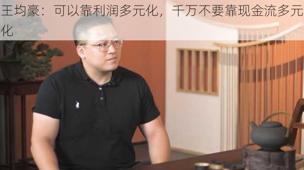 王均豪：可以靠利润多元化，千万不要靠现金流多元化