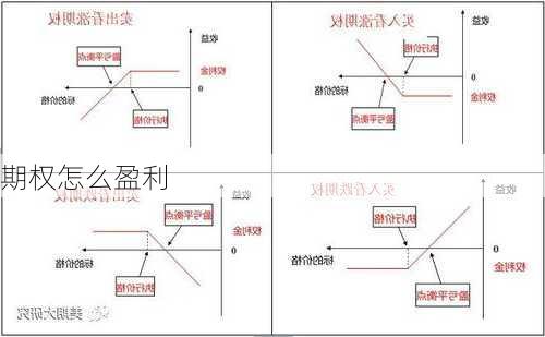 期权怎么盈利